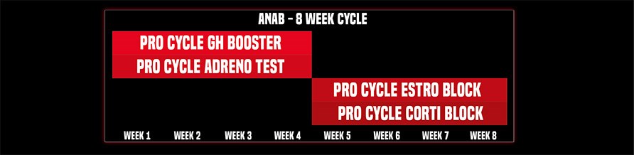 Grafiikka RAW Pro Cycle -tydennysten kaaviosta.  