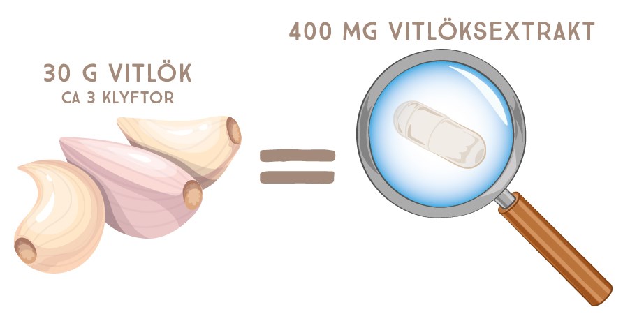 Yksi kapseli Healthwell Valkosipulia vastaa noin 3 valkosipulinkyntt.